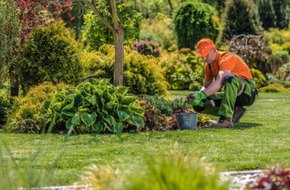 Gardening Services